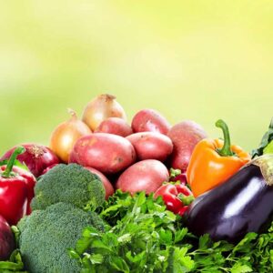 Optimal Wellness Solutions Course